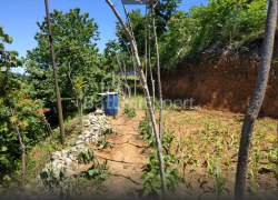 Land plot 536 m² - Agmashenebeli, Chakvi, Georgia