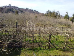 Land plot 4260 m² - David Agmashenebeli, Kobuleti, Georgia