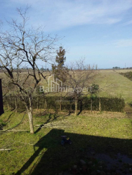 Land plot 4260 m² - David Agmashenebeli, Kobuleti, Georgia
