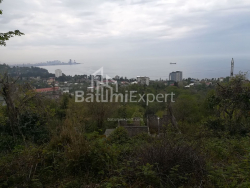 Land plot 1000 m² - Akhalgazrdoba, Makhinjauri