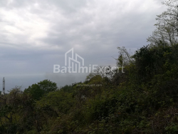 Land plot 1000 m² - Akhalgazrdoba, Makhinjauri