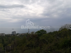 Land plot 1000 m² - Akhalgazrdoba, Makhinjauri