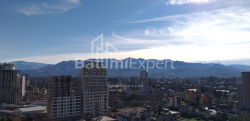 Apartment 1-room 31.3 m² - Shalva Inasaridze, Batumi