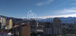 Apartment 1-room 31.3 m² - Shalva Inasaridze, Batumi