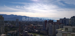 Apartment 1-room 31.3 m² - Shalva Inasaridze, Batumi