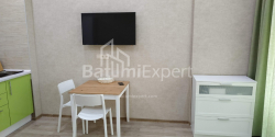 Apartment 33 m² - Shalva Inasaridze, Batumi, Georgia