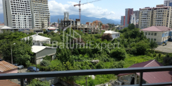 Apartment 1-room 33 m² - Shalva Inasaridze, Batumi
