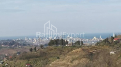 Private house 4200 m² - Agara, Agara, Georgia
