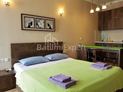 Apartment 29 m² - Zurab Gorgiladze, Batumi, Georgia