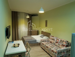 Apartment 28.7 m² - Zurab Gorgiladze, Batumi, Georgia