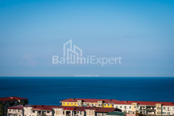 Apartment 33.1 m² - Shalva Inasaridze, Batumi, Georgia