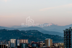 Apartment 33.1 m² - Shalva Inasaridze, Batumi, Georgia
