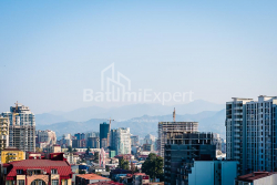 Apartment 33.1 m² - Shalva Inasaridze, Batumi, Georgia