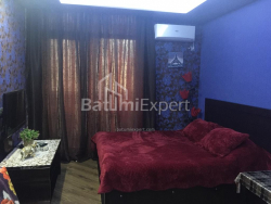 Apartment 24.06 m² - Iusuf Kobaladze, Batumi, Georgia