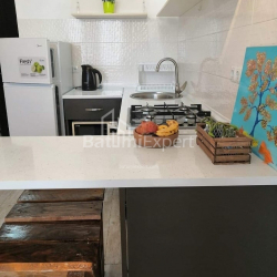 Apartment 29 m² - Zurab Gorgiladze, Batumi, Georgia