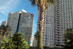 Apartment 29 m² - Zurab Gorgiladze, Batumi, Georgia