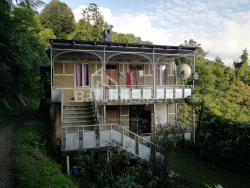 Private house 2501 m² - Akaki Shainidze, Khelvachauri, Georgia