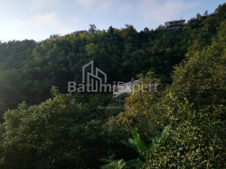 Private house 2501 m² - Akaki Shainidze, Khelvachauri, Georgia