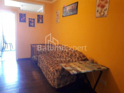Apartment 50 m² - Alexander Sulaberidze, Batumi, Georgia