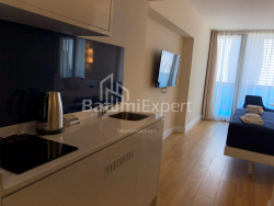 Apartment 29 m² - Sherif Khimshiashvili, Batumi, Georgia