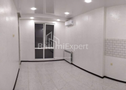 Apartment 1-room 42 m² - Davit Agmashenebeli, Batumi