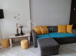 Apartment 35.6 m² - Niko Pirosmani, Batumi, Georgia