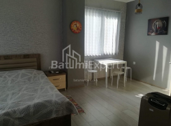 Apartment 30 m² - General Aslan Abashidze, Batumi, Georgia