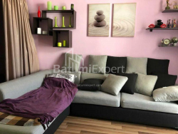 Apartment 2-room 48 m² - Niko Pirosmani, Batumi