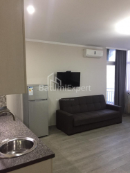 Apartment 28.5 m² - Shalva Inasaridze, Batumi, Georgia