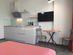 Apartment 1-room 31.3 m² - Shalva Inasaridze, Batumi