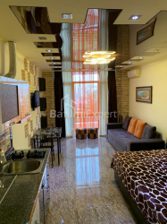 Apartment 1-room 33 m² - Niko Pirosmani, Batumi
