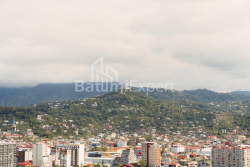 Apartment 52.5 m² - Ekvtime Takaishvili, Batumi, Georgia