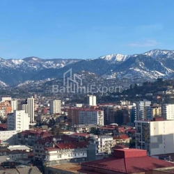 Apartment 50 m² - Selim Khimshiashvili, Batumi, Georgia