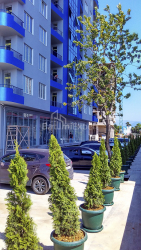 Apartment 30 m² - Sherif Khimshiashvili, Batumi, Georgia