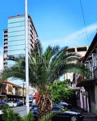 Apartment 80 m² - Ilia Chavchavadze, Batumi, Georgia