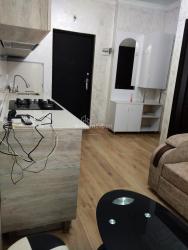 Apartment 29 m² - Shalva Inasaridze, Batumi, Georgia