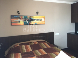 Apartment 25 m² - Iusuf Kobaladze, Batumi, Georgia